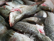 Load image into Gallery viewer, Seabass/金目鲈 X 2 Pcs