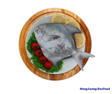 Load image into Gallery viewer, Chinese Pomfret/斗鲳