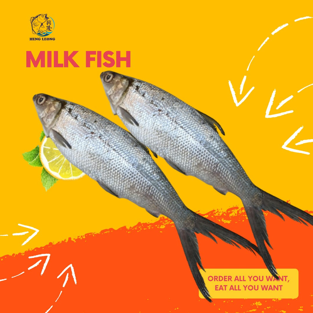 Milk Fish/牛奶鱼 x 2 Pcs