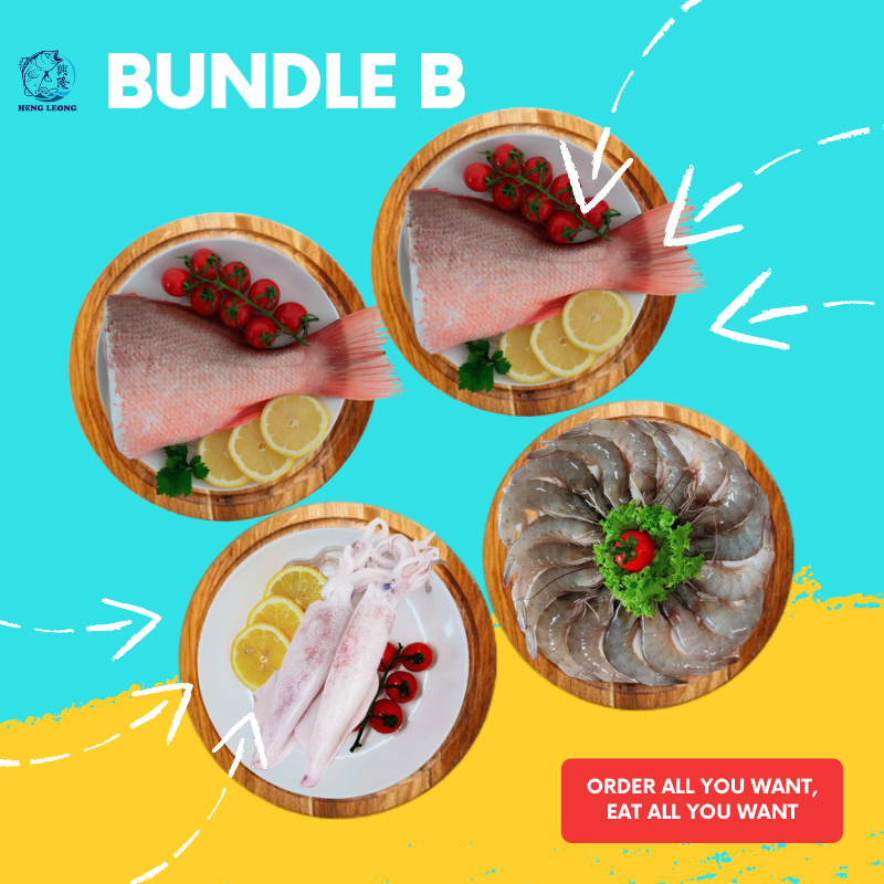 Bundle B