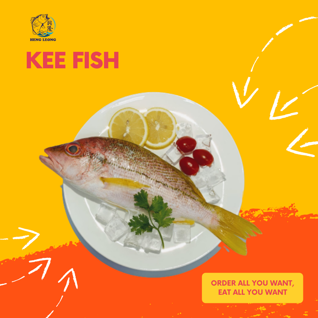 Kee Fish/记鱼