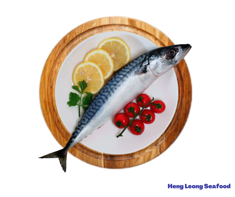 Saba Fish/鯖鱼 – Heng Leong Seafood