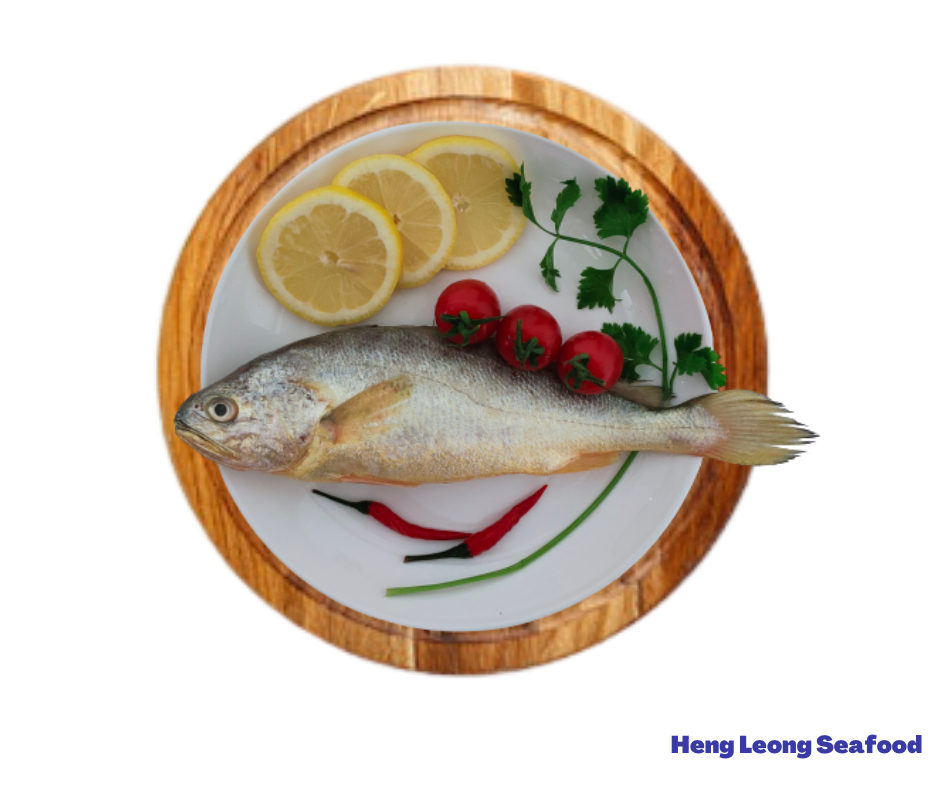 Yellow Croaker/黄花鱼