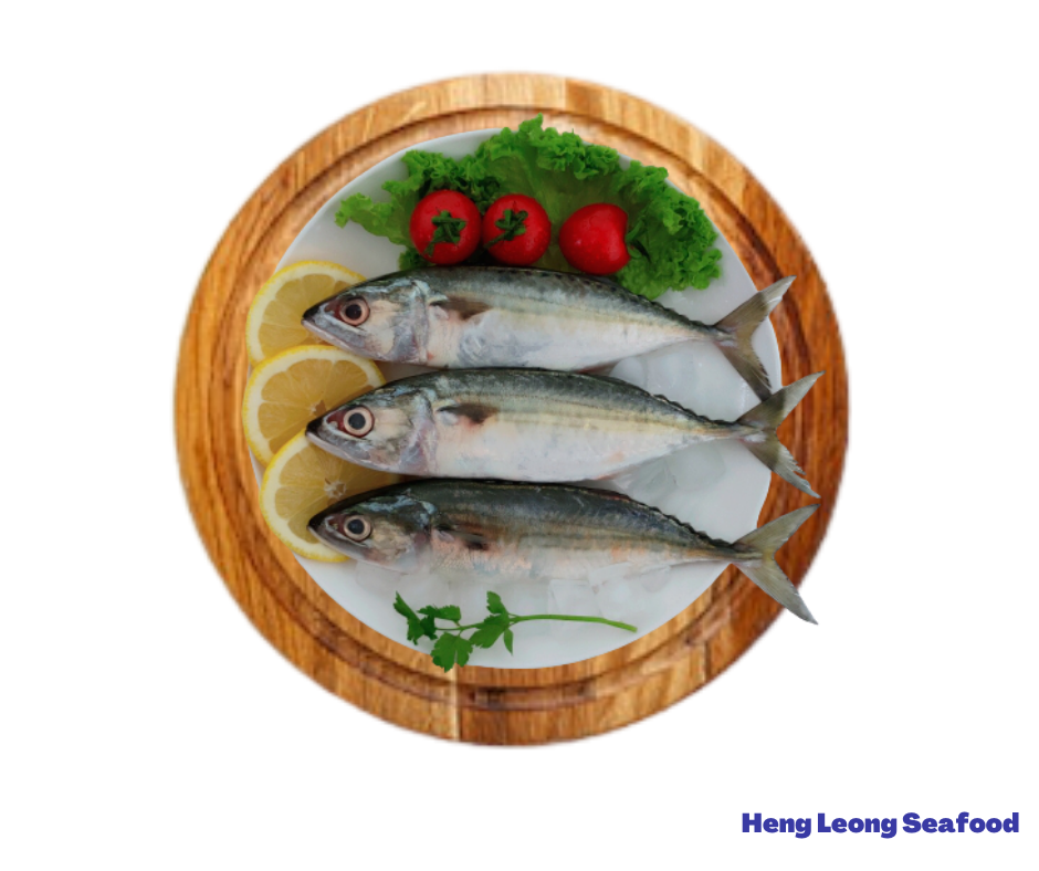 Mabong/马望鱼