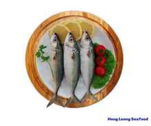 Load image into Gallery viewer, Mabong/马望鱼
