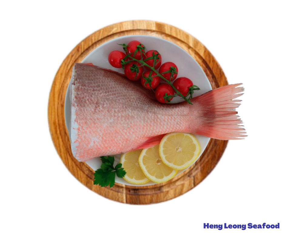 Red Snapper Tail/红鱼尾